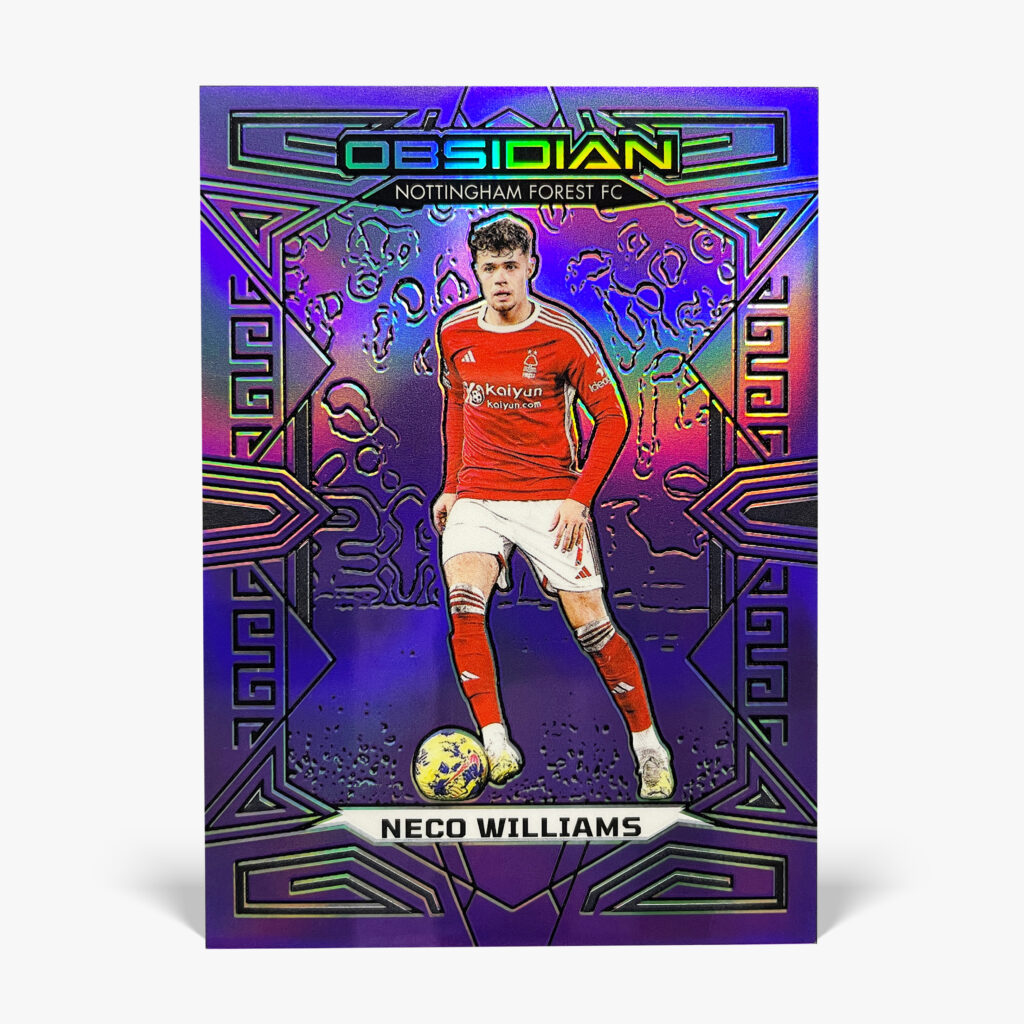2023-24 Panini Obsidian - Neco Williams /25