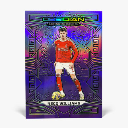 2023-24 Panini Obsidian - Neco Williams /25